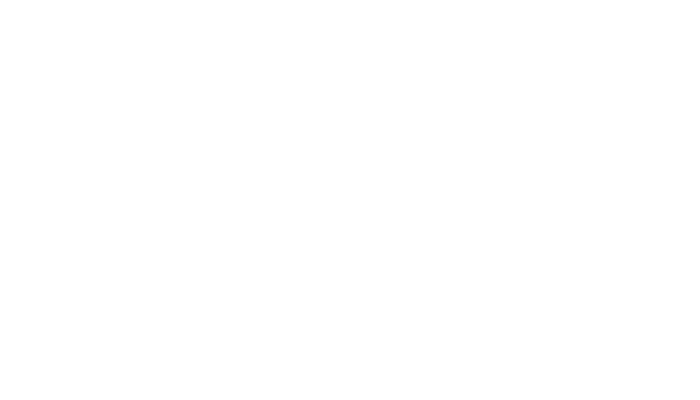 logo HMG 20jahre weiss